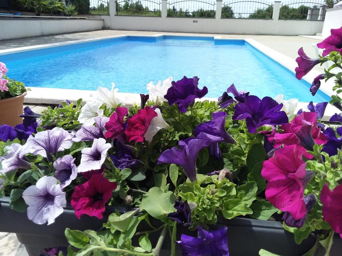 House Apartments Ariamare Porec Exterior photo