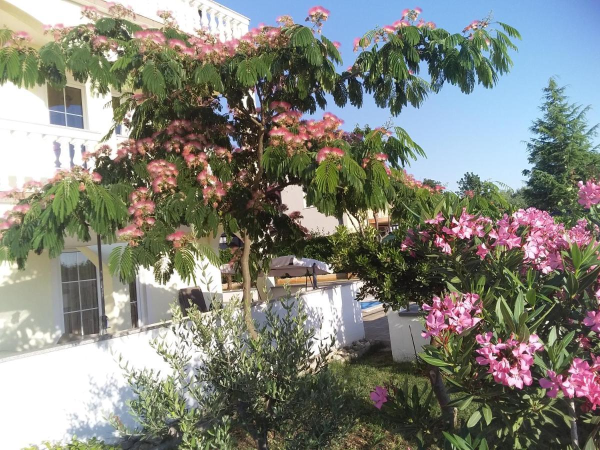 House Apartments Ariamare Porec Exterior photo